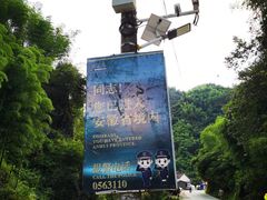 -将军关探险漂流