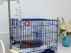 -可蒙动物医院·猫科·骨科中心(首义路店)