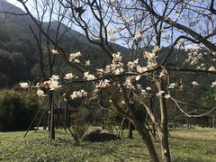 -黄公望隐居地