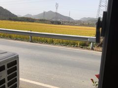 -李东农庄(中南百草园地标店)