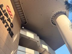 -香港大学