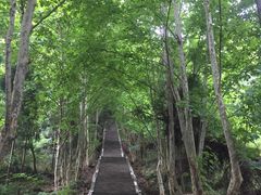 -窦圌山风景区