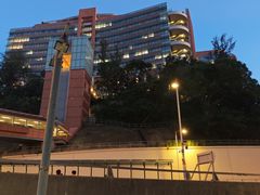 -香港大学