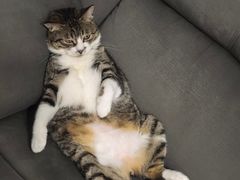 -味之绝热血美蛙鱼火锅(中坝店)