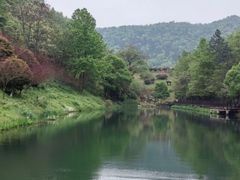 -桃花岭景区