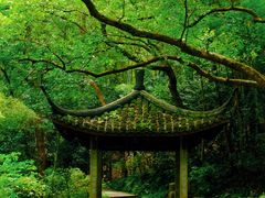 -虎跑公园