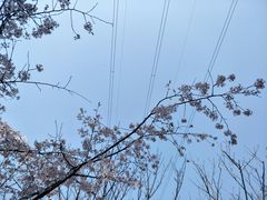 -石峰公园