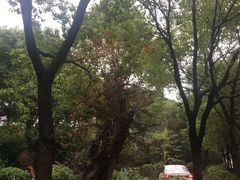 -安飞驰驾校·学车连锁(金高店)