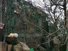 -胖大嫂渔家排档·全海景餐厅(渔村店)