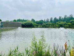 -春晖园度假酒店温泉