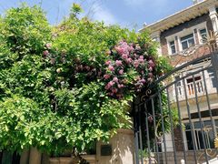 -天津五大道文化旅游区