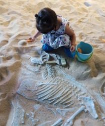 -恐龙探索乐园(磁器口店)