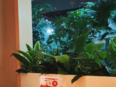 -吕氏疙瘩汤·海鲜新鲁菜(凯德mall新都心店)
