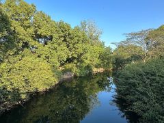 -上海滨江森林公园