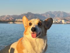 -北崖BAYARD(沙子口店)