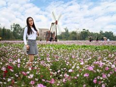 -铁山坪森林公园