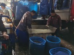 -黄沙水产交易市场