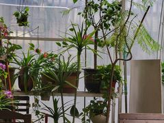 -绿小院(荔湾店)