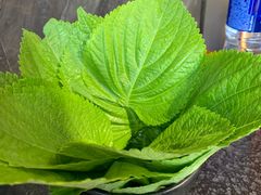-四斤烤肉(东戴河孟家店)
