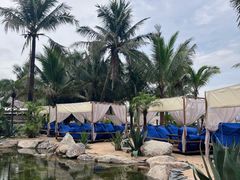 -精酿农场Brew Farm·沙漠绿洲餐厅