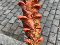 -秋林·里道斯(西七道街店)