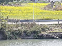 -三垟湿地