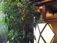 -颐和•海鲜砂锅粥•啫啫煲(奥林匹克广场店)