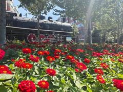 -长春公园(普阳街道)