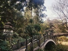 -深圳国际园林花卉博览园