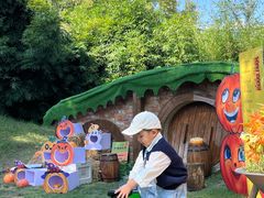 -HERRE·FARM 赫尔露营农场·团建聚会包场