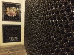 -龙谕酒庄
