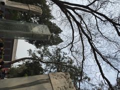 赵州桥-赵州桥景区
