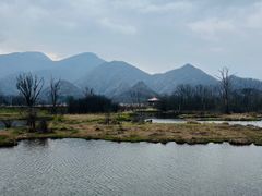 -大九湖