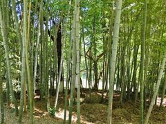 -峙山公园