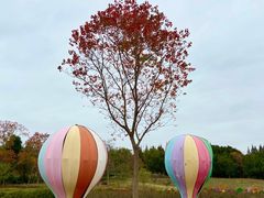 -同里国家湿地公园