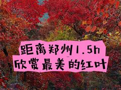 -环翠峪风景区