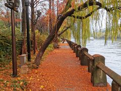 -运河游船(武林门码头)