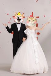 -CD视觉婚纱摄影