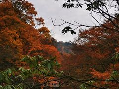 -光雾山旅游景区