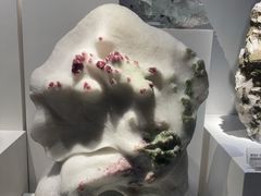 -重庆自然博物馆(新馆)