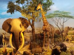 -陕西自然博物馆