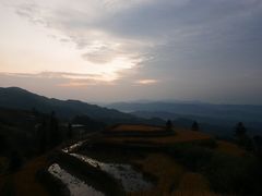 -紫鹊界梯田景区