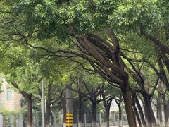 -星巴克(常州新北公园店)