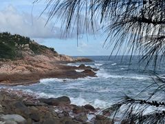 -广东惠东海龟国家级自然保护区