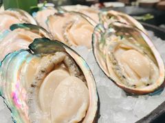 澳洲鲍鱼-协成海鲜火锅(情侣路店)