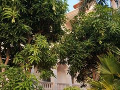 -厦门途易蓝罗约海景温泉酒店(园博苑地铁站店)