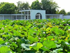 -费孝通江村纪念馆