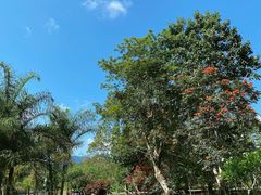 -中国科学院西双版纳热带植物园