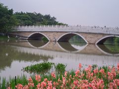 -海珠湖公园