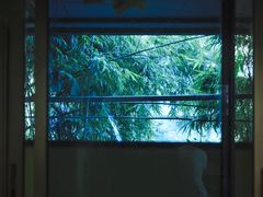 -玉滋補